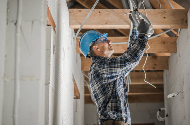 Best Electrical Upgrades for Homes  in Mascotte, FL