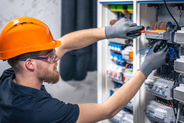 Best Electric Panel Repair  in Mascotte, FL
